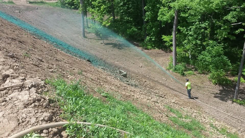 Crew hydroseeding a steep wooded slope
